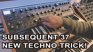 Make a polyrhythmic techno random arp patch on the Moog Subsequent 37 // free download