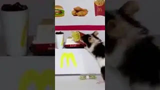 Real TINY McDonald’s fries for my mouse 🤣 #shorts