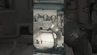 сток выхлоп+пайп на рваной гофре C4L