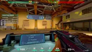 Valorant RADIANT Medium Skills Test DAY 5