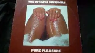 The Dynamic Superiors - Hit and Run Lover