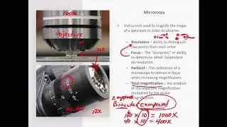 Microscopes in Microbiology (Chapter 3) Part 1