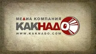 Нужен видеоролик? Animalab.ru