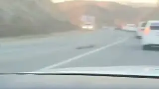 ДТП в Находке на объездной дороге между Маленькой Америкой и улицей Дальняя