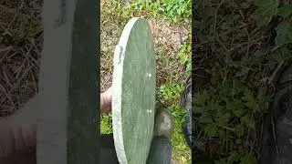 24 июля 2023 г.