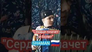 А сердце плачет и болит #шаман #shaman #патриот #любовь #баян #баянист #accordion