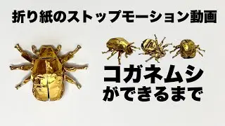 折り紙　コガネムシ　 Origami  scarabbeetle