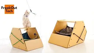 5 Incredible Cat Inventions You Never Knew About