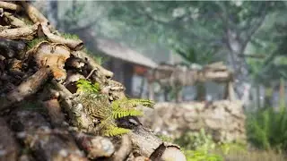A Casa Perdida(em detalhes)