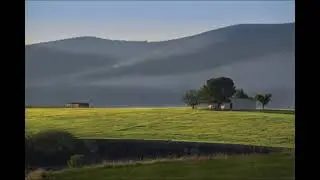 Explosión de verdes (Un paseo por el camino de "El Nuevo"