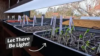 Do hardware store LED panels work as grow lights? Gardening in Portugal