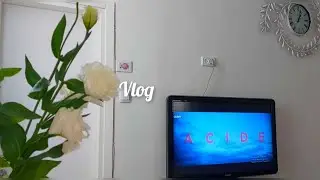 Израиль Шок😲 Придётся искать новую квартиру 😮‍💨
