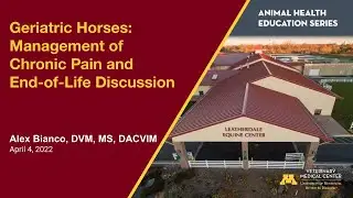 Geriatric Horses: Management of Chronic Pain and End-of-Life Discussion