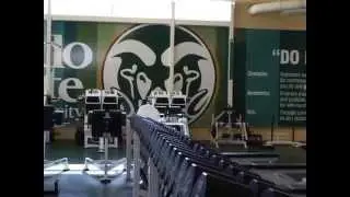 Wall Graphics at CSU's Moby Arena