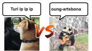 Turi ip ip ip VS oung-artsbona (Epic Rap Battle)