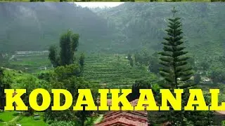 Kodaikanal top 10 tourist places