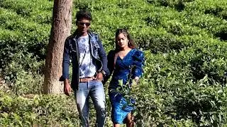 আমার মন কেড়েছে সোনার ভাগ্না