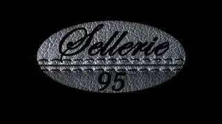 sellerie 95