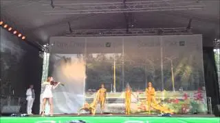 День Парков 2012 в Сокольниках