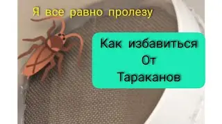 Как избавиться от тараканов