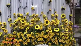 Flowers Decoration 🥰🥰