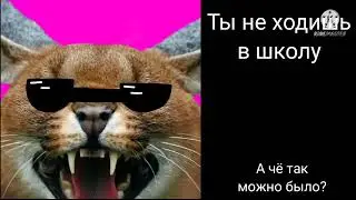 Сколько у тебя уроков: