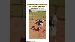 Monta artística de toros #short #shorts