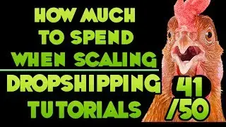 How much to Spend when scaling Dropshipping Campaigns - [Free DropShipping Video Tutorials # 41/50]
