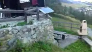 MOV00425