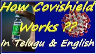 How Covishield vaccine Works ? || Corona Virus Vaccine || COVID-19 Vaccine || Vaccine