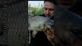 річка Дністер #fishing  #carp #carpfishing