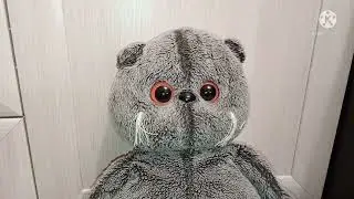 🎁🎄Басики отмечают новый год🎄🎁