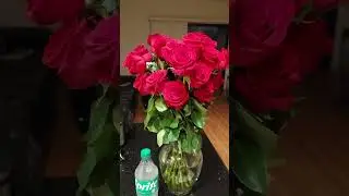 🌹👩🏾‍🌾🧴😉 Mother's Day Flower Care?! 😉🧴👩🏾‍🌾🌹 | #diy | The Adventures of Ta Wanda!
