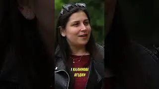 Секрети збору трав  Як приготувати трав'яний чай «Гербата» за унікальним рецептом #6соток #plants