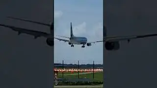Transavia Flight ✈️ Boeing 737 landing #transavia #737 #b737 #boeing #landing #ams #aviation