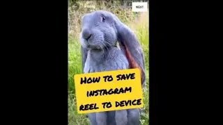 SHORTS: Save and Bookmark REELS Instagram to camera roll/device