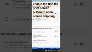 Enable print screen key for screen snipping 