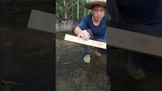 Surface Dirt Cleaning Wire Broom