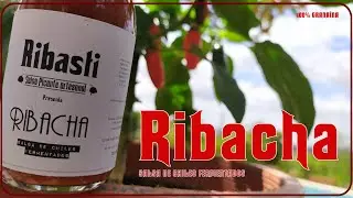 Ribacha - Ribasti Salsa Picante Artesanal