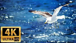 Deeply Relaxing and Inspiring Music. 4K Gorgeous Sea and Sunset Sky Views