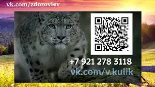 Ирбис и "Сибирское здоровье"