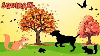 The ANIMALS LOST their SHADOWS | BEDTIME STORY for TODDLERS, CHILDREN (Interactive) Find the Shadows