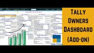 Tally Owner's dashboard | Key business insights in one place [Add-on | TDL]