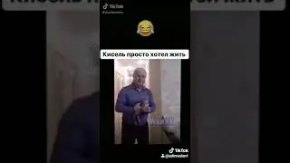 Дед и кот на роликах