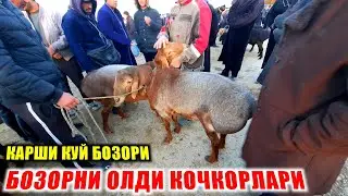 КАШКАДАРЁДА КАРШИ МОЛ БОЗОРИ НАРХЛАРИ 2021 | QARSHI MOL BOZORI NARXLARI
