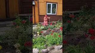 Сколько мне лет. #shorts #shortvideo #приколы #юмор #весело #смех #шутка #ржака #вайны #скетч