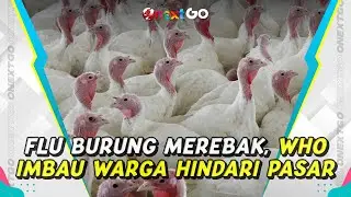 WHO Sarankan Warga Hindari Pasar-pasar Antisipasi Penularan Flu Burung | Onext GO