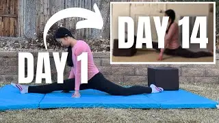 I LOST my FLEXIBILITY! Can I Get it BACK?  2 WEEK FLEXIBILITY CHALLENGE