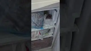 Используй виноград вместо льда #shorts