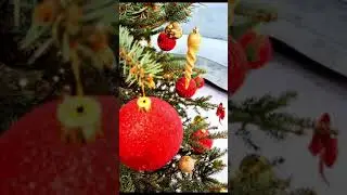 Выученная беспомощность. Как это выглядит.